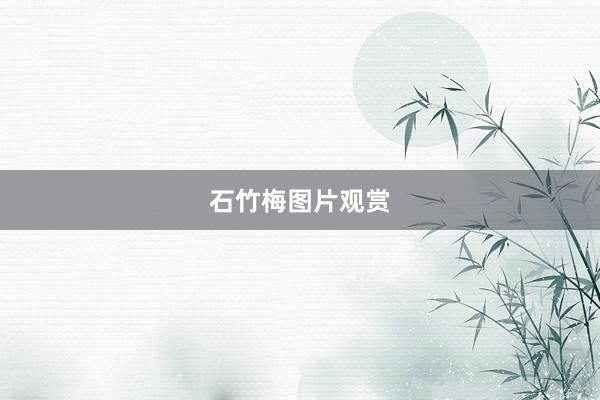 石竹梅图片观赏